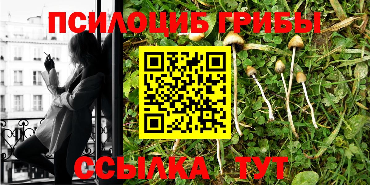 Псилоцибиновые грибы Cubensis Норильск