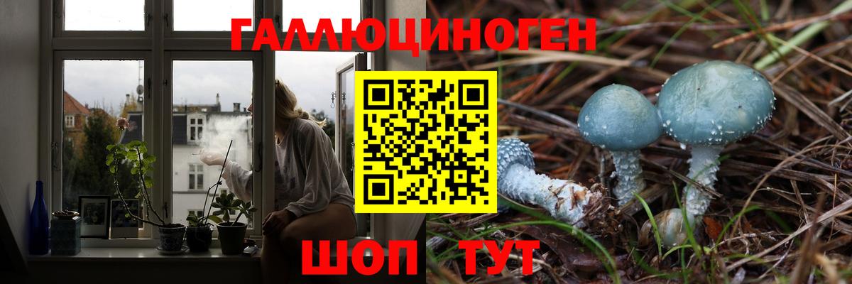 Псилоцибиновые грибы мухоморы  Псилоцибиновые грибы Cubensis  Вход с VPN  Норильск 